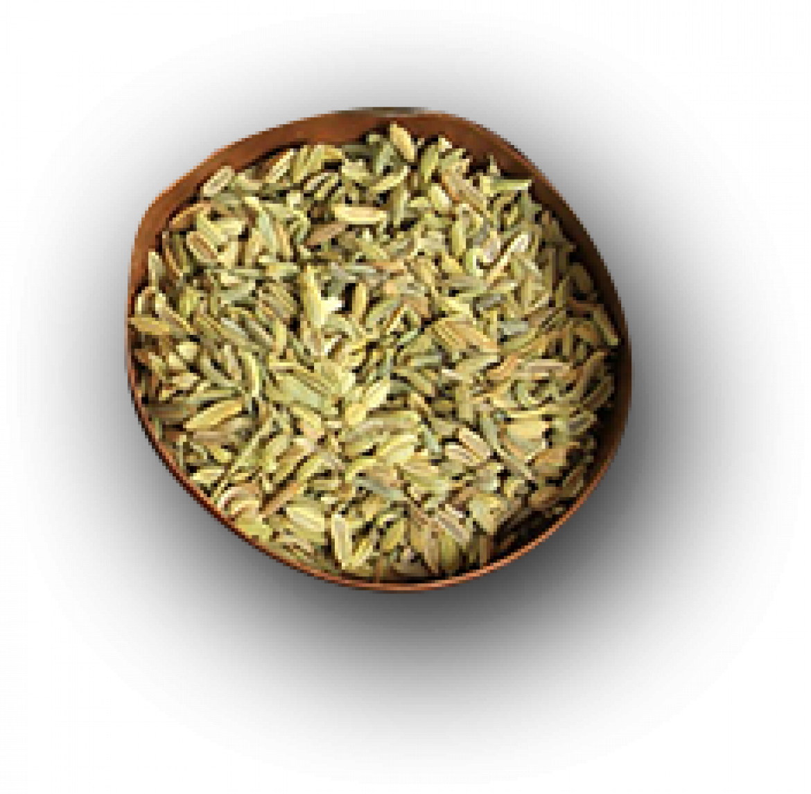 seeds.png